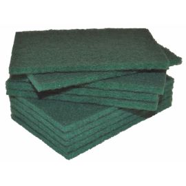 Scourer Nylon Standard Industrial 15x10cm Pk10