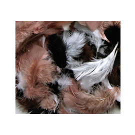 Feathers Natural Asstd 60g